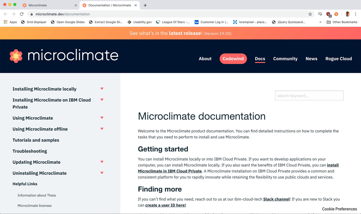 Screenshot of Microclimate Running in a Development Environment